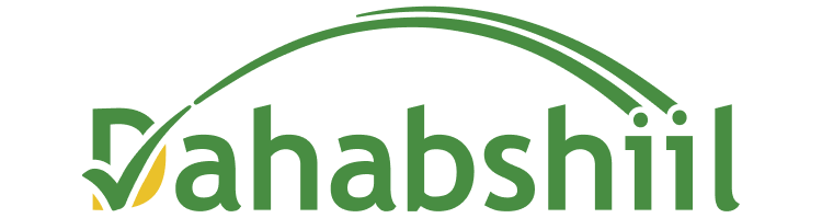 dahabshiil logo
